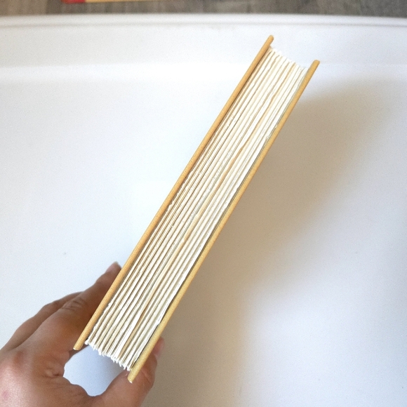 A Series of Unfortunate Events: The Slippery Slope Hardcover Book #10 - Picture 4 of 5